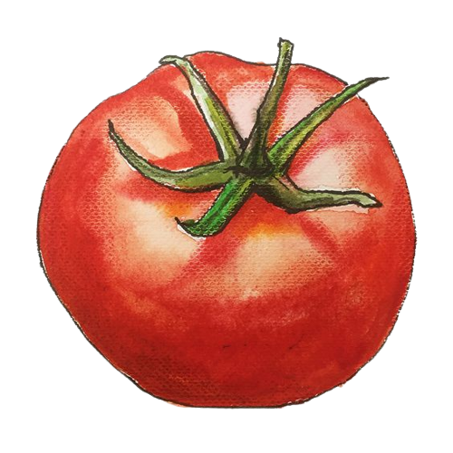 tomato